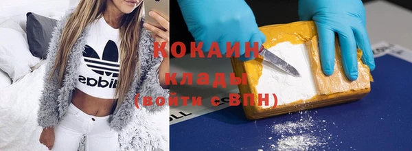 стафф Заводоуковск