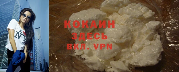стафф Заводоуковск
