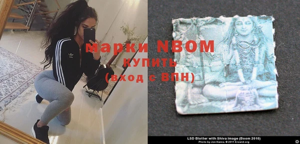 стафф Заводоуковск