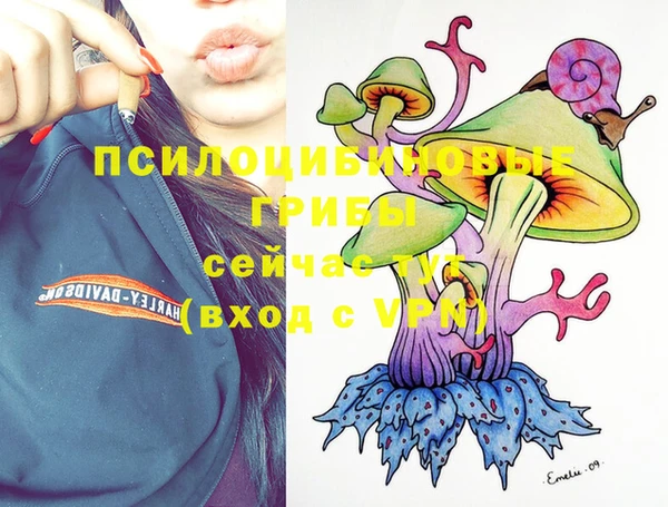 стафф Заводоуковск
