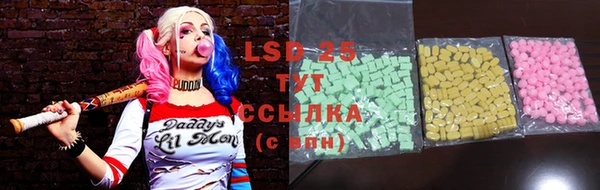 стафф Заводоуковск