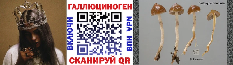 что такое наркотик  Среднеуральск  Галлюциногенные грибы Magic Shrooms 