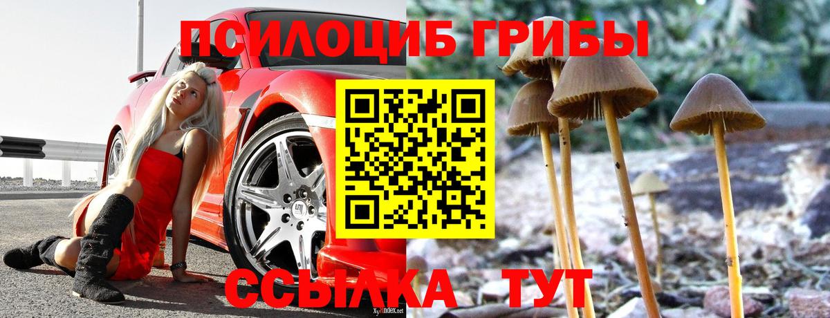 Галлюциногенные грибы мухоморы Среднеуральск