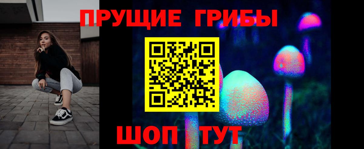 Среднеуральск  Галлюциногенные грибы Cubensis  Вход с VPN 